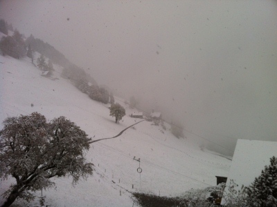 121027_Wiesenberg_Schnee_IMG_3092_600x448