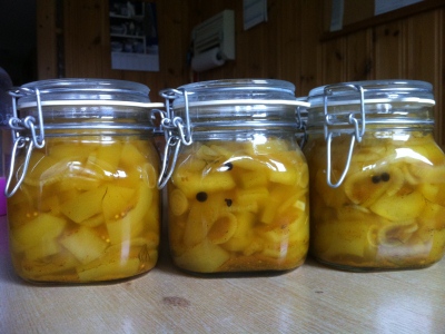 120902_Wiesenberg_Zucchini_eingekocht_IMG_2897_400x300