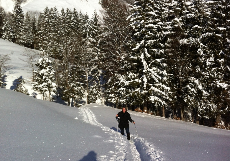 130210_Wiesenberg_Schneeschuhwanderung_IMG_3393_806x563