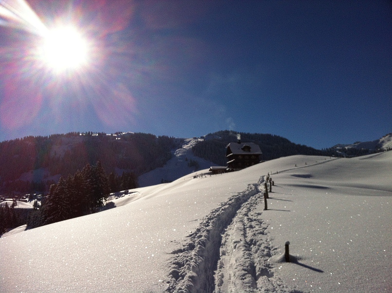 130210_Wiesenberg_Schneeschuhwanderung_IMG_3397_806x602