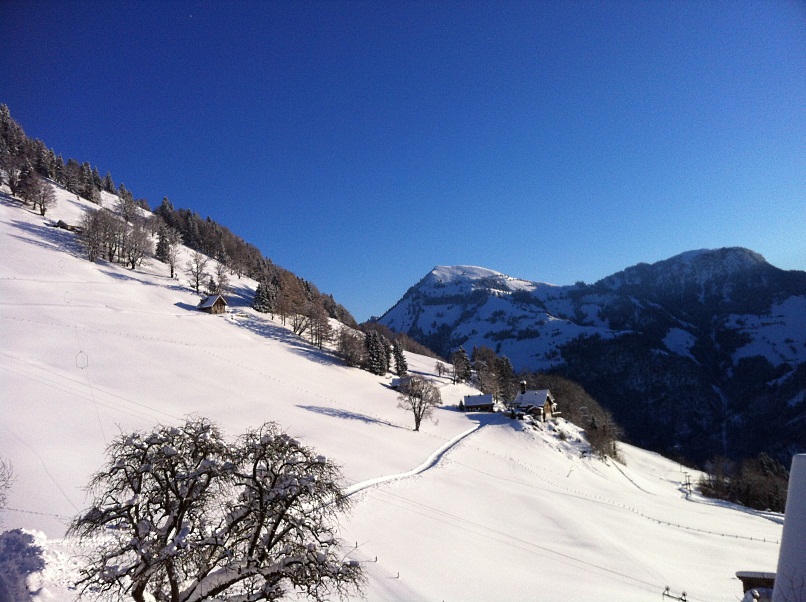 130210_Wiesenberg_Wintermorgen_IMG_3386_806x602