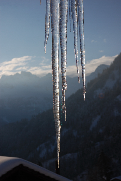 130217_Wiesenberg_Eiszapfen_In_Der_Sonne_DSC_0558_400x600